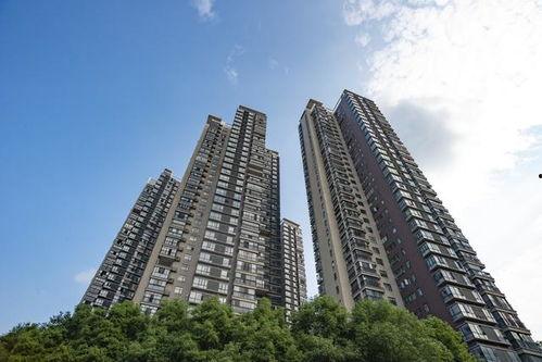 乐山楼市爆料新闻视频  第1张